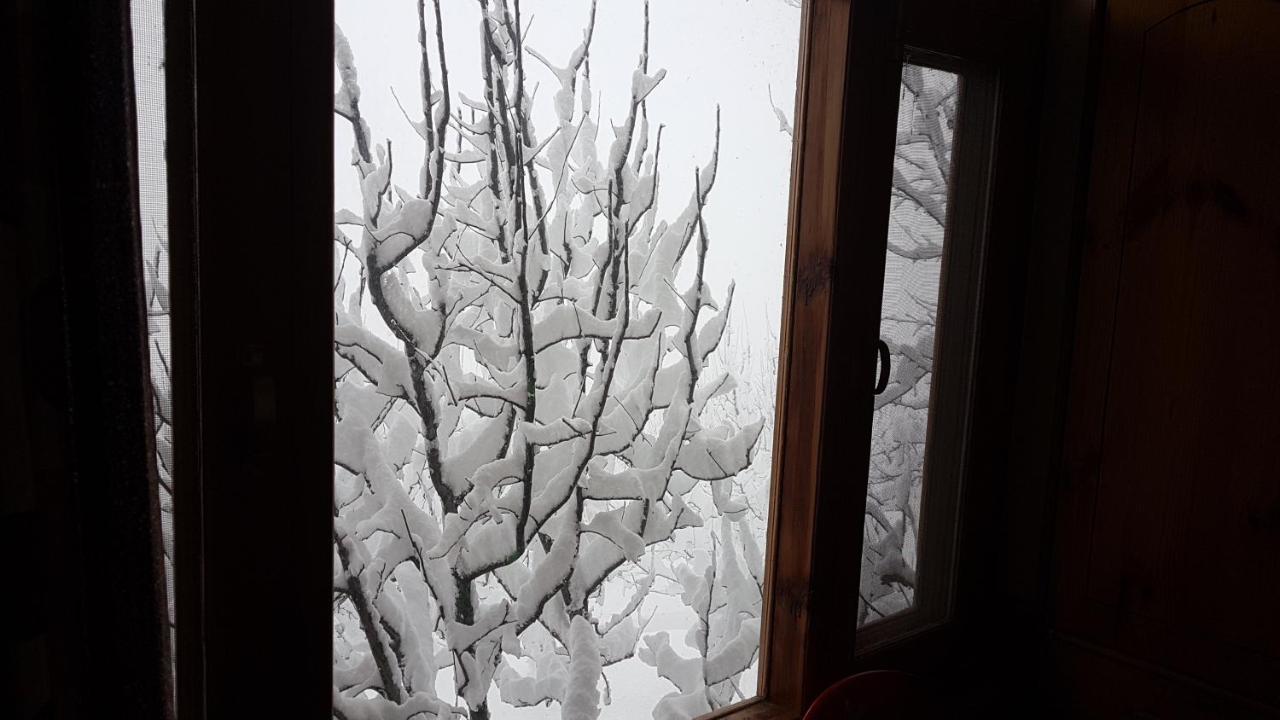 Sunface Homestay Manāli Екстериор снимка